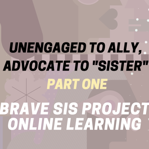 Unengaged to Ally, Advocate to ‘Sister’: Part One Course (LIFETIME)